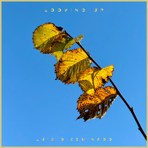 学生小嫩B毛片免费看
